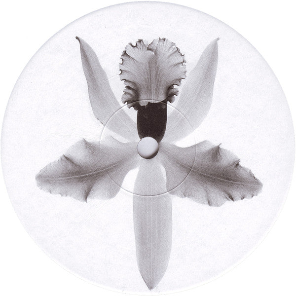 Physics : Flight Over Bermuda EP (12", EP)