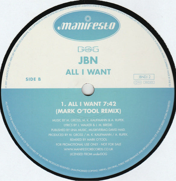 JBN : All I Want (12", Promo)