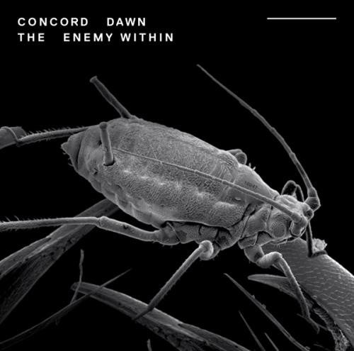Concord Dawn : The Enemy Within (CD, Album)