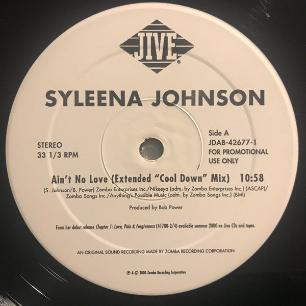 Syleena Johnson : Ain't No Love (12", Promo)