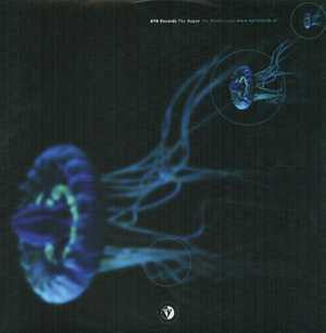 Karada : Il Futuro (12")