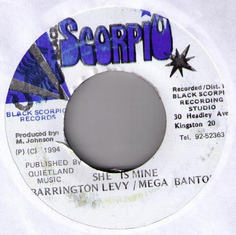 Barrington Levy / Mega Banton : She Is Mine (7")