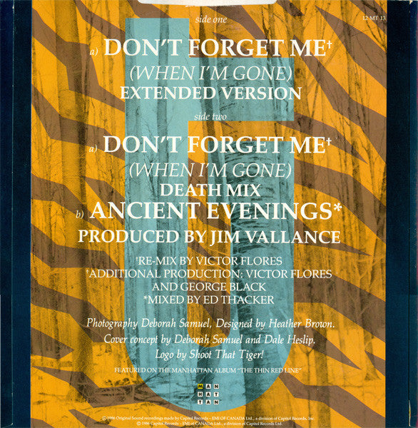 Glass Tiger : Don't Forget Me (When I'm Gone) (Extended Version) (12")