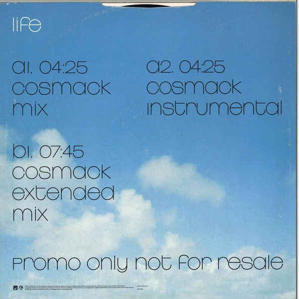 Des'ree : Life - The CJ Mackintosh Mixes (12", Promo)