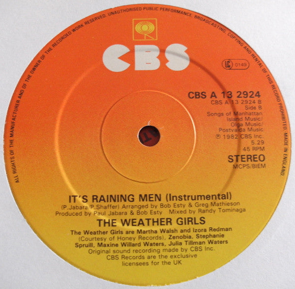 The Weather Girls : It's Raining Men (12")