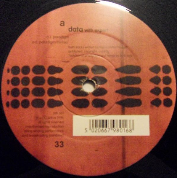 Data With Expert : Paradigm (12")