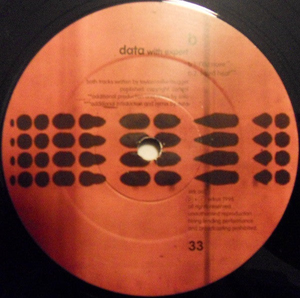 Data With Expert : Paradigm (12")