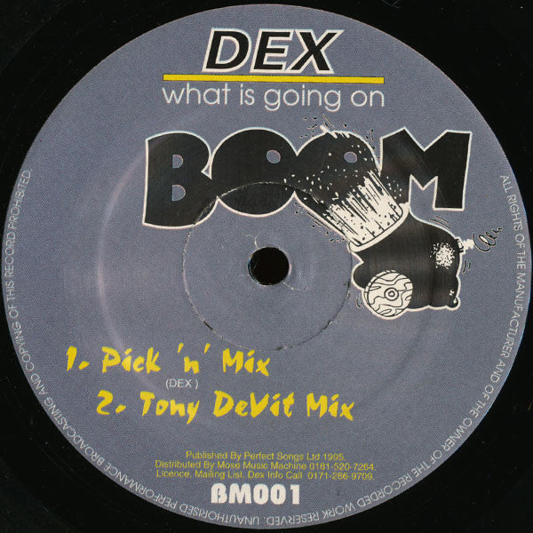 DEX : What Is Going On (12")