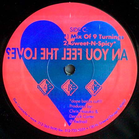 Chris Nazuka & Derrick Carter* : Can You Feel The Love? (12")