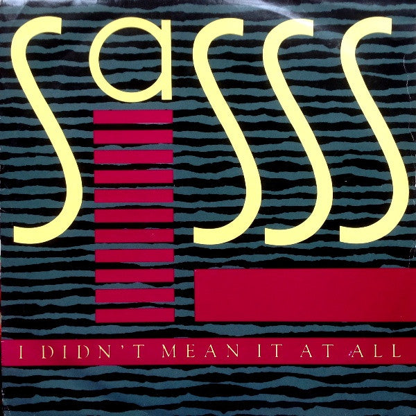 Sasss : I Didn't Mean It At All (12", Single)