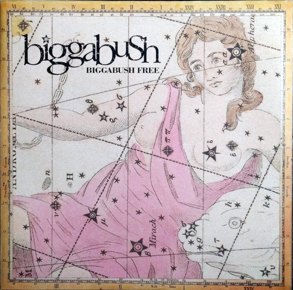 Bigga Bush : Bigga Bush Free (2xLP, Album)