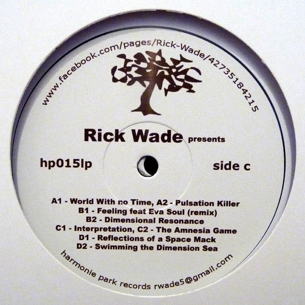 Rick Wade : Neverending Reflections (2x12", Album)