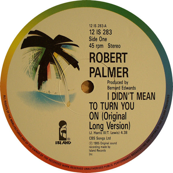 Robert Palmer : I Didn't Mean To Turn You On (12")
