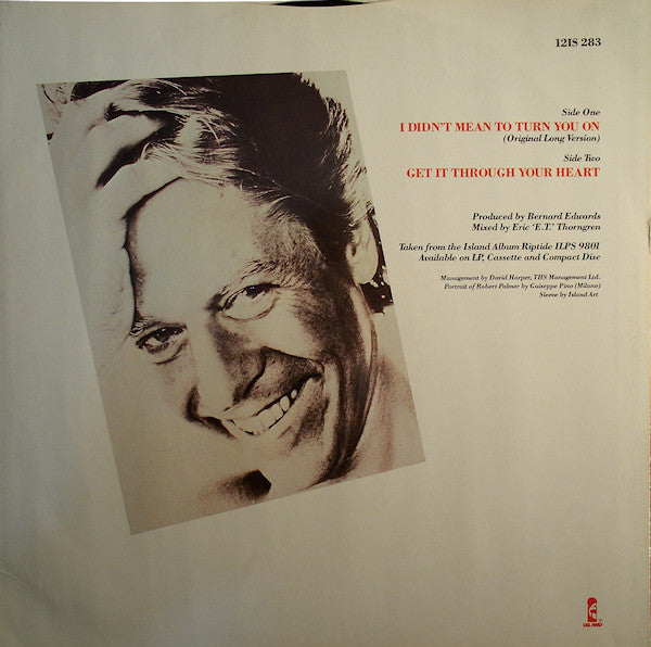 Robert Palmer : I Didn't Mean To Turn You On (12")