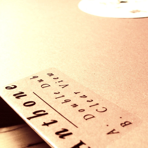 Anthone : Double Dub / Clear View (10", Single, Ltd, Num)