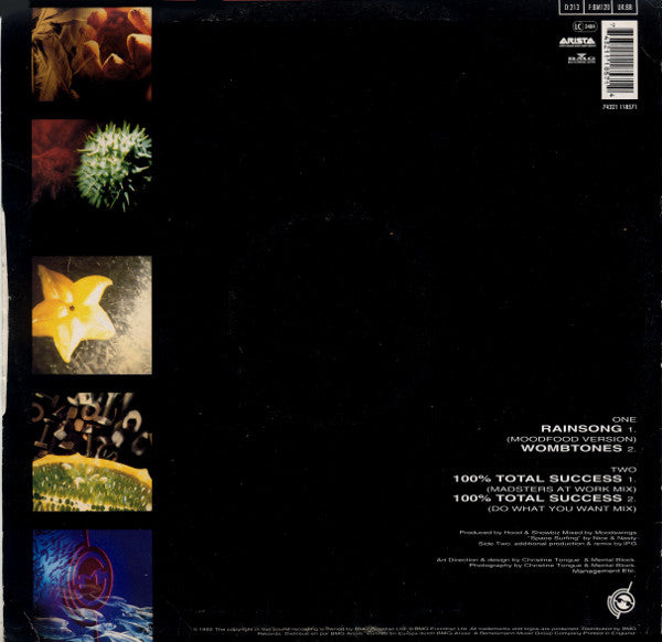 Moodswings : Taste EP (Rainsong) (12", EP)