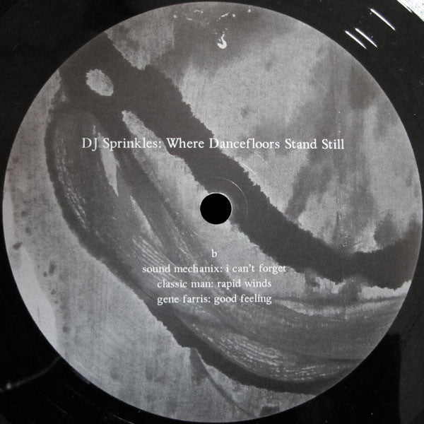 DJ Sprinkles : Where Dancefloors Stand Still (2x12", Comp)