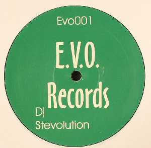 Stevolution : Love Commandments / What Do You Want? (12")