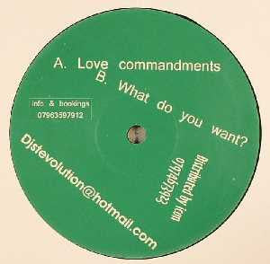 Stevolution : Love Commandments / What Do You Want? (12")