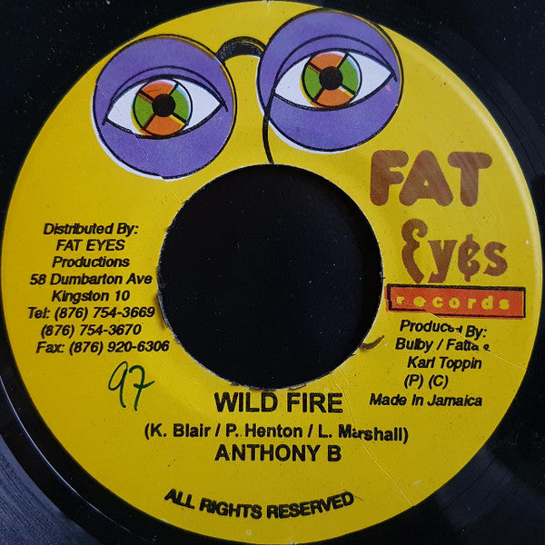 Anthony B / Ninja Ford : Wild Fire / Never See Mi Done (7")