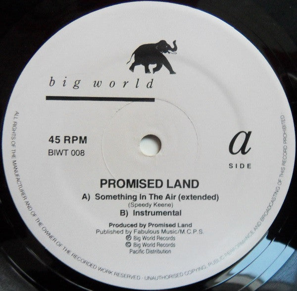 Promised Land : Something In The Air (12")