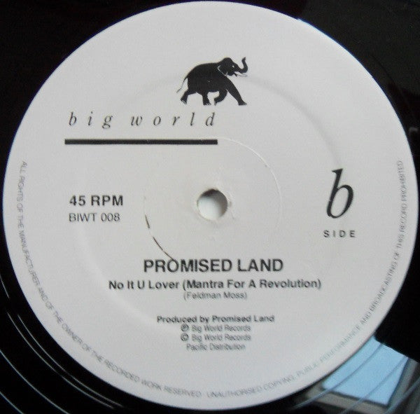 Promised Land : Something In The Air (12")