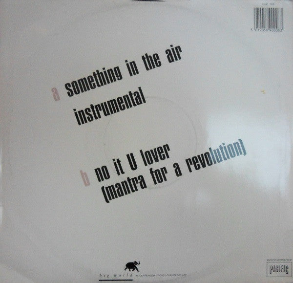 Promised Land : Something In The Air (12")