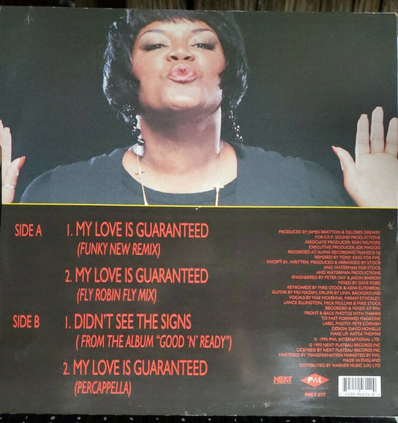 Sybil : My Love Is Guaranteed (12")