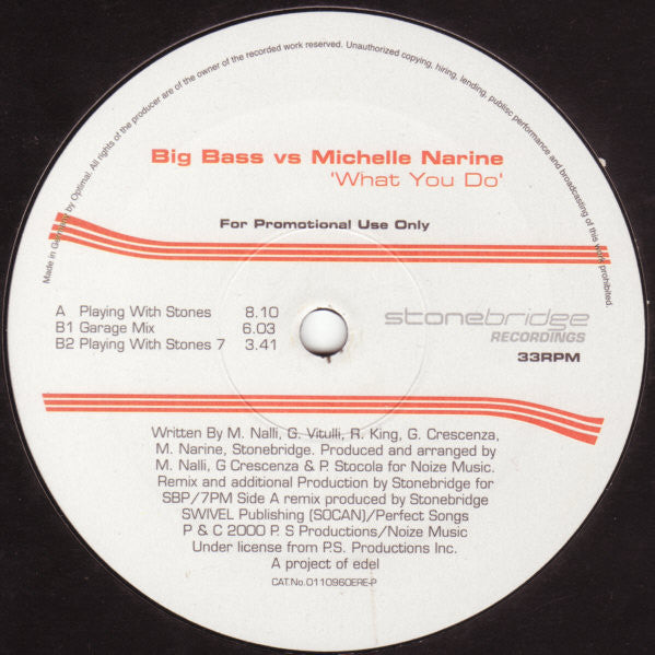 Big Bass Vs Michelle Narine : What You Do (12", Promo)