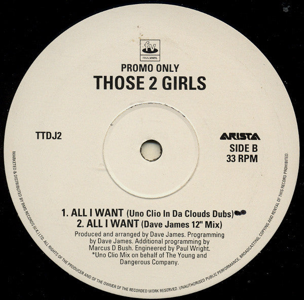 Those 2 Girls : All I Want (12", Promo)