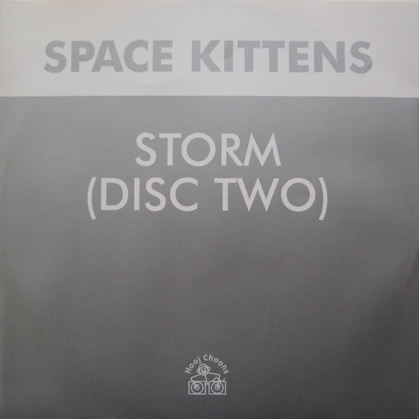 Space Kittens : Storm  (12", 2/2)