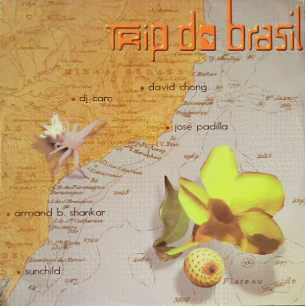 Various : Trip Do Brasil - The Brasilian Flavor (12")