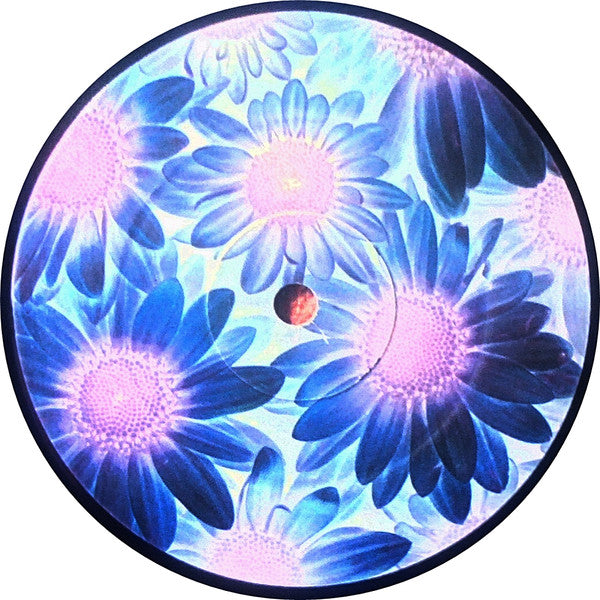 Ray Hurley : Flowers (12")