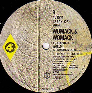 Womack & Womack : Celebrate The World (The People Unite Remix) (12")