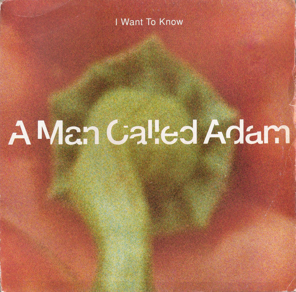 A Man Called Adam : I Want To Know (12")