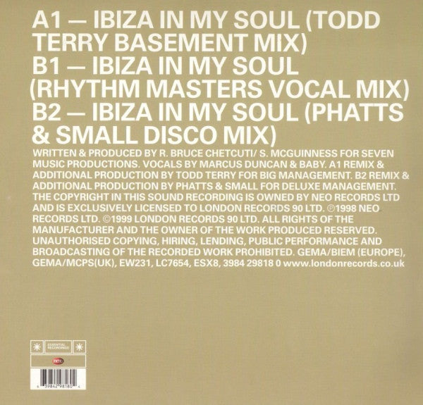 Rhythm Masters Present Disco Dubbers : Ibiza In My Soul (12")
