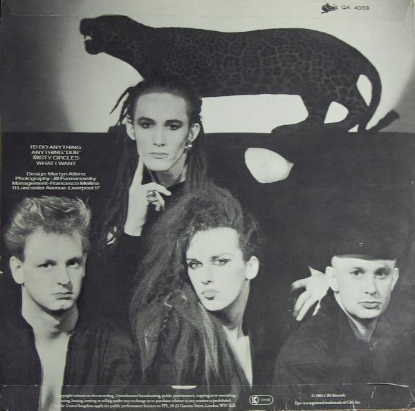 Dead Or Alive : I'd Do Anything (10")