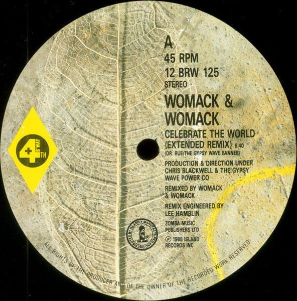 Womack & Womack : Celebrate The World (12")