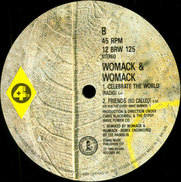 Womack & Womack : Celebrate The World (12")