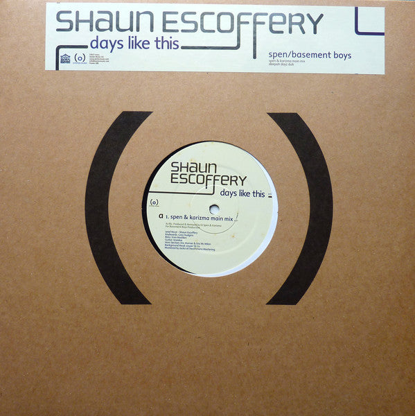 Shaun Escoffery : Days Like This (12", Promo)