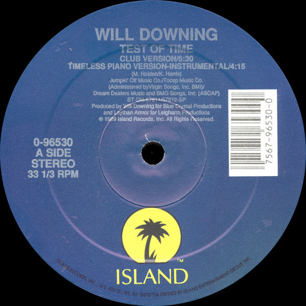 Will Downing : Test Of Time (12")