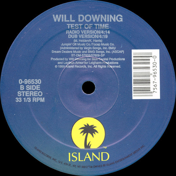 Will Downing : Test Of Time (12")