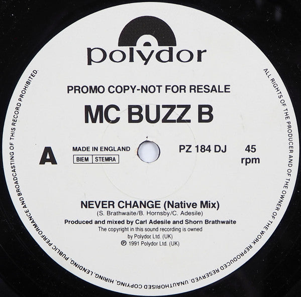 MC Buzz B : Never Change (12", Promo)
