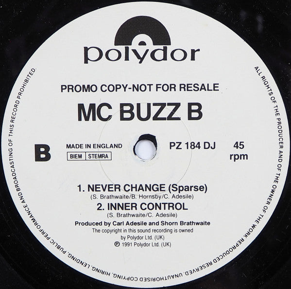 MC Buzz B : Never Change (12", Promo)
