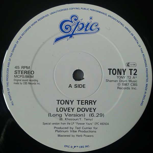 Tony Terry : Lovey Dovey (12")