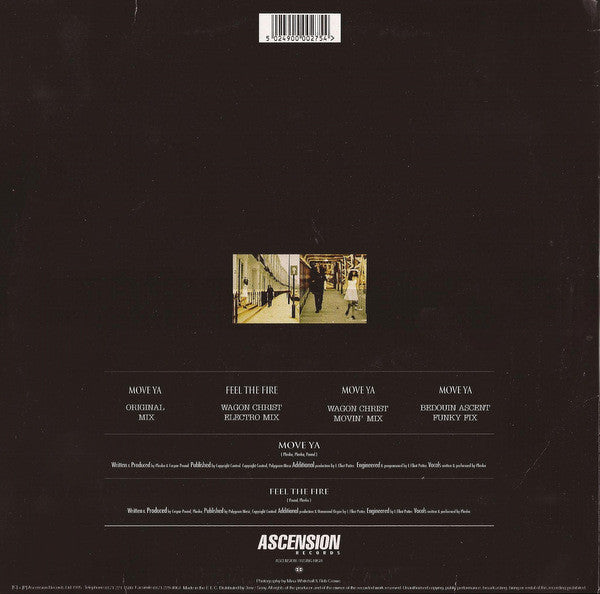 RHC* : Feel The Fire / Wanna Move Ya (Mixes) (2x10", Ltd, Num)