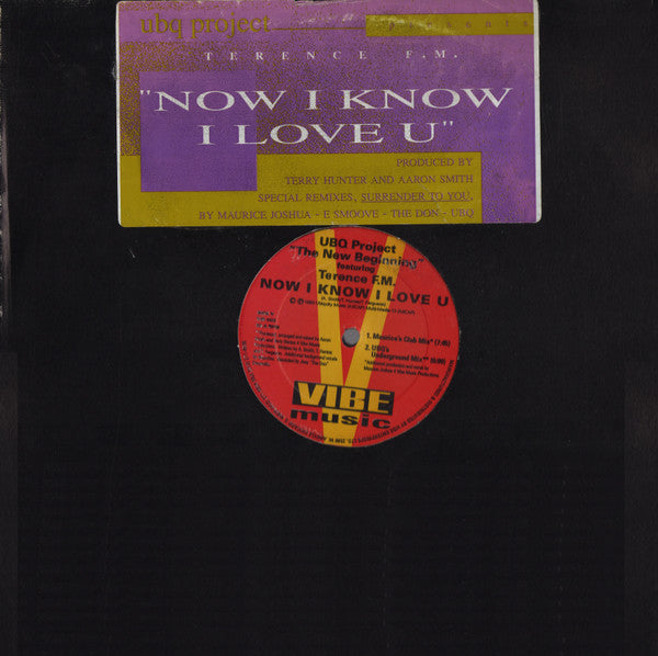 UBQ Project Featuring Terence F.M.* : Now I Know I Love U (12")