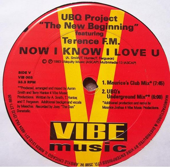 UBQ Project Featuring Terence F.M.* : Now I Know I Love U (12")