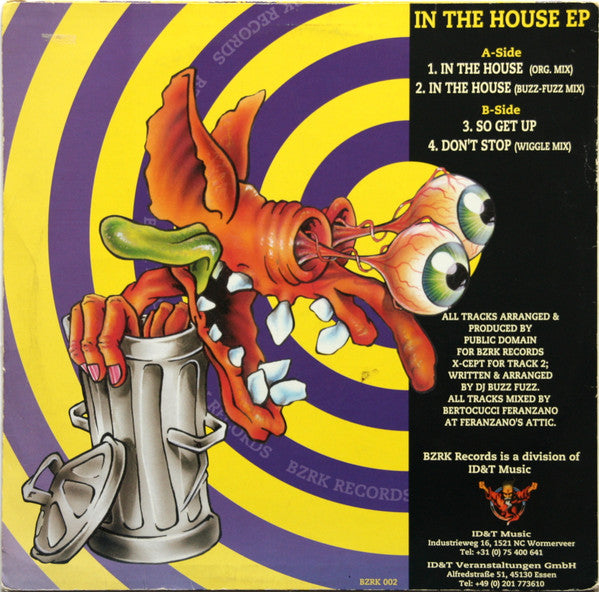 Public Domain (2) : In The House EP (12", EP)