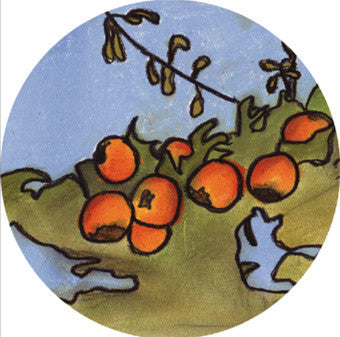 Roan : Boskop EP (12", EP)